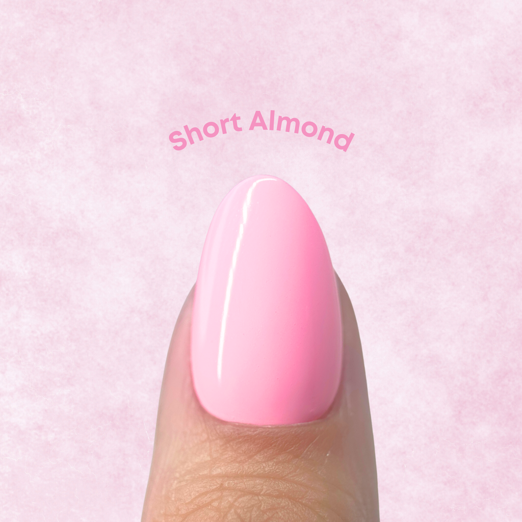 Sizing Kit - Almond
