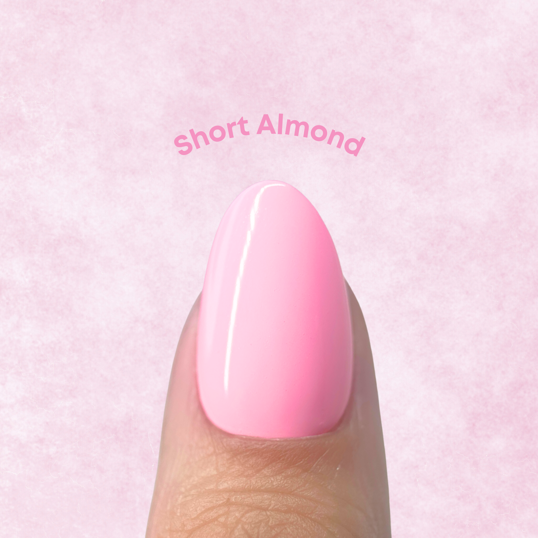 Sizing Kit - Almond