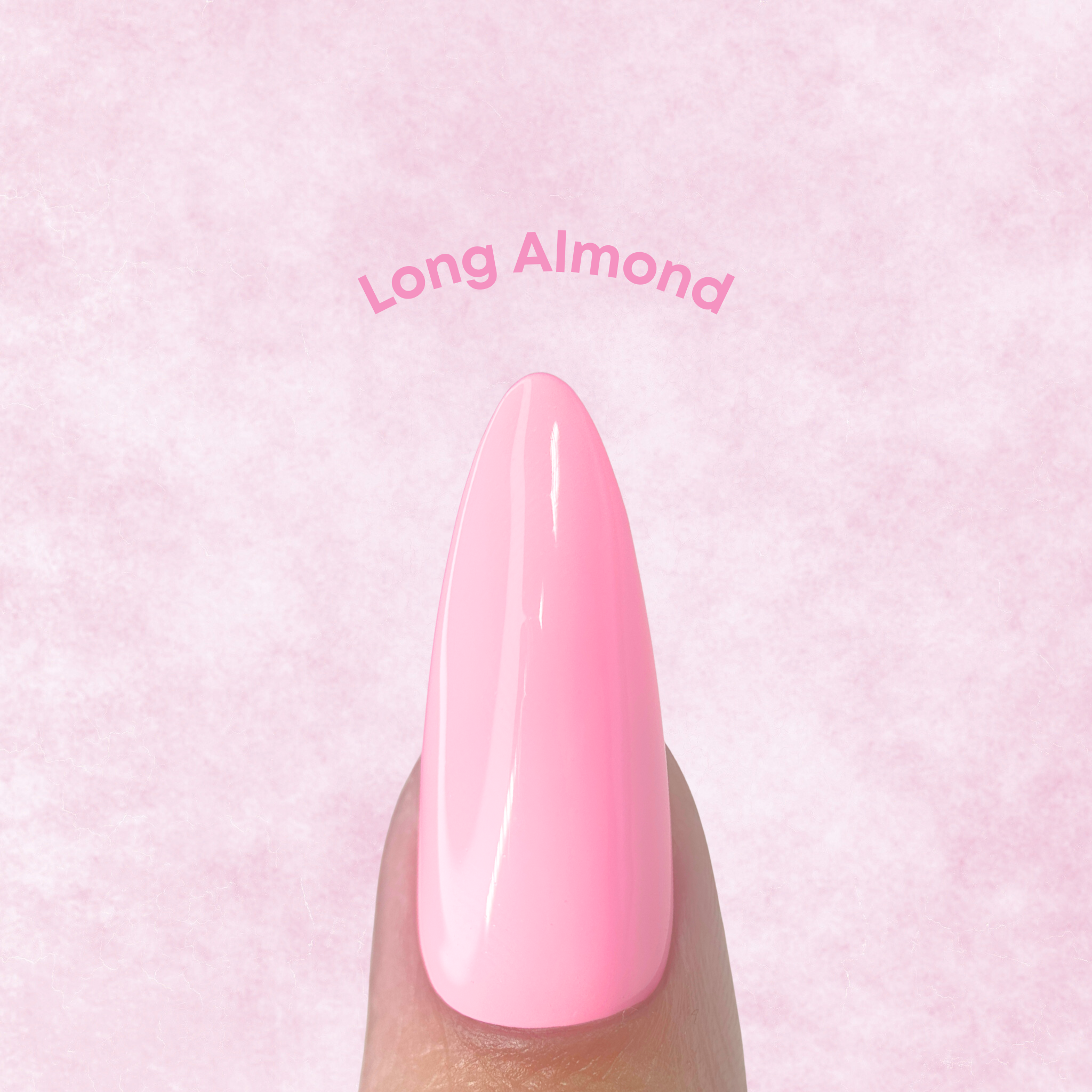 Sizing Kit - Almond